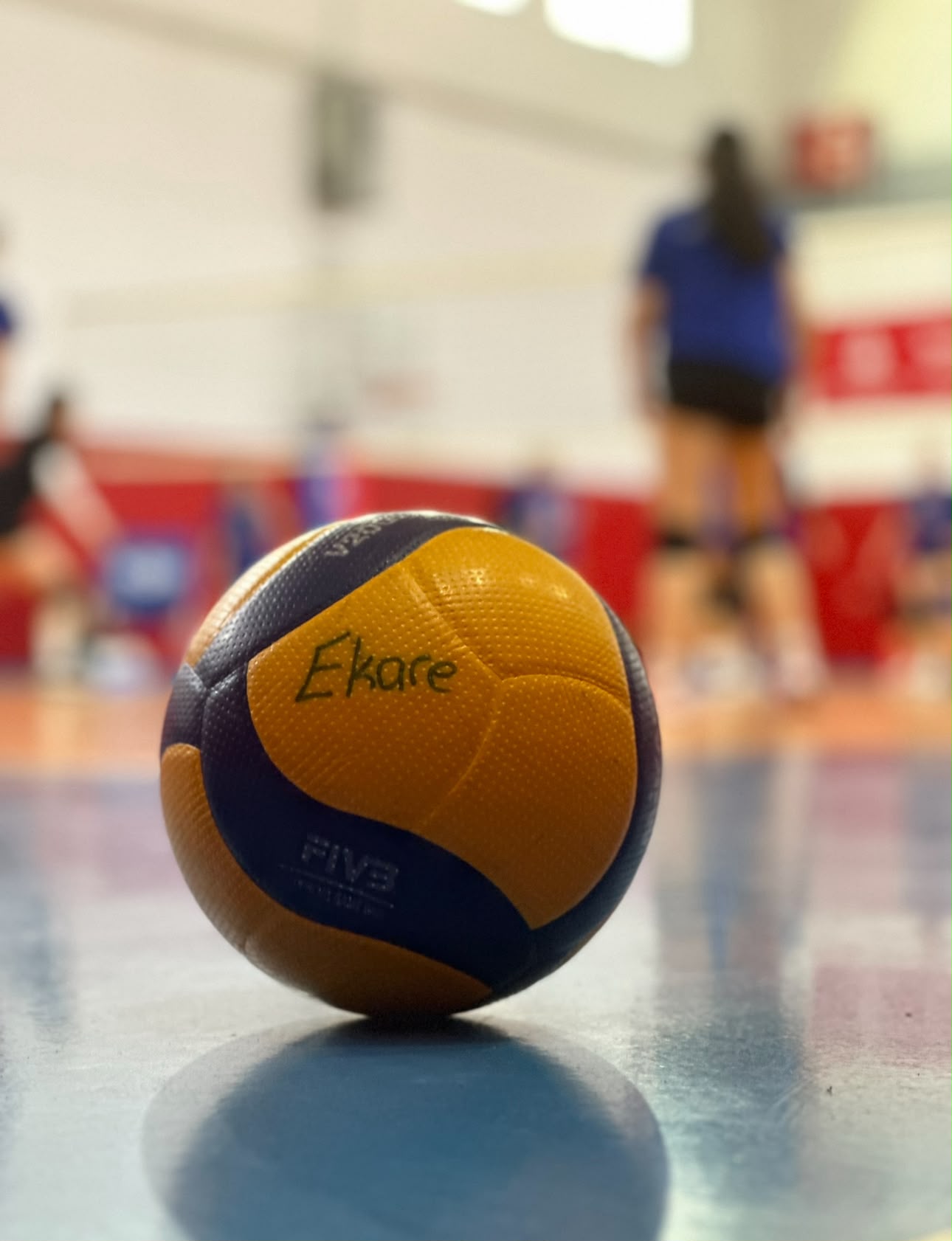 Voleyboldan bir kare