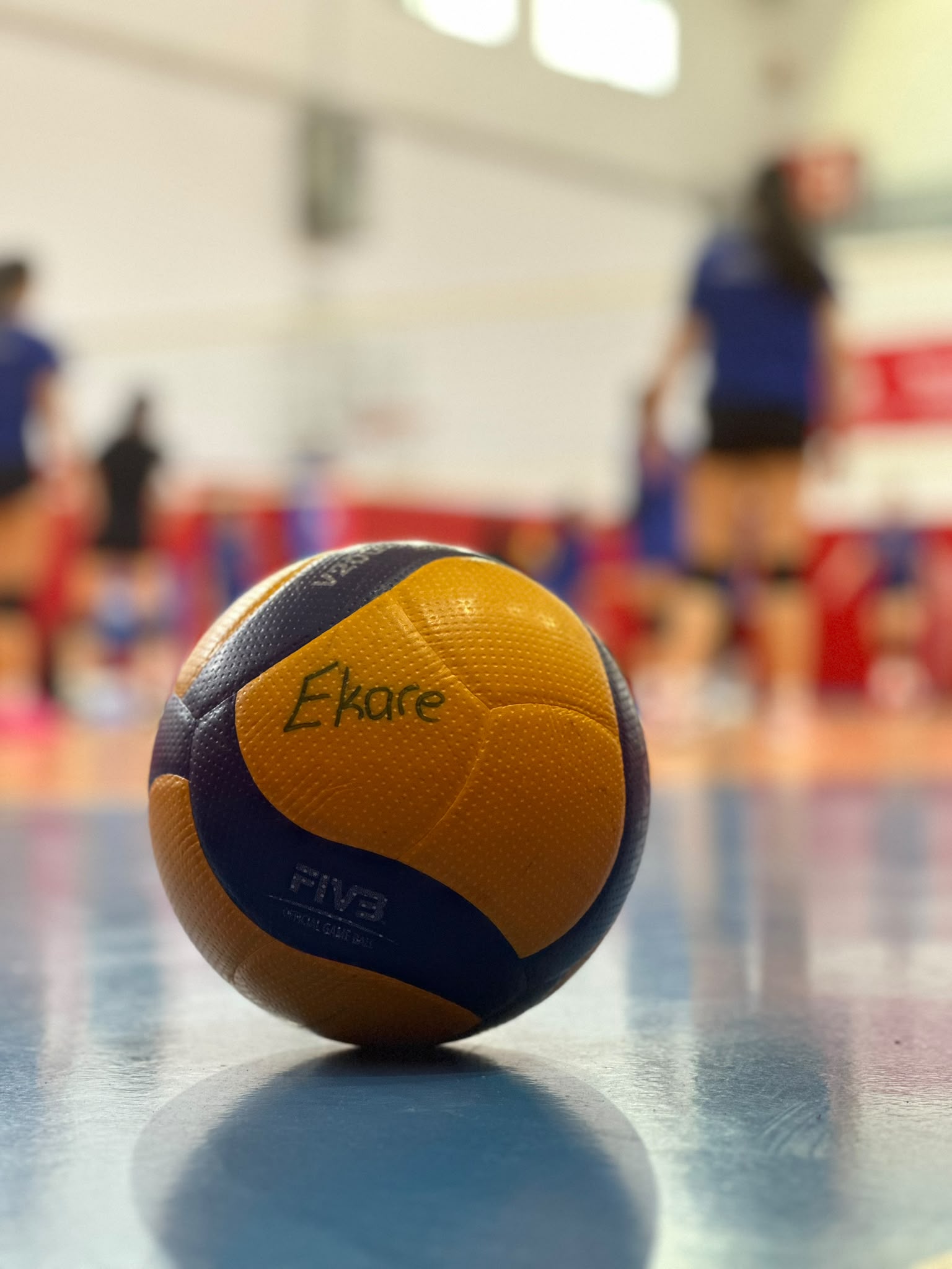 Voleyboldan bir kare