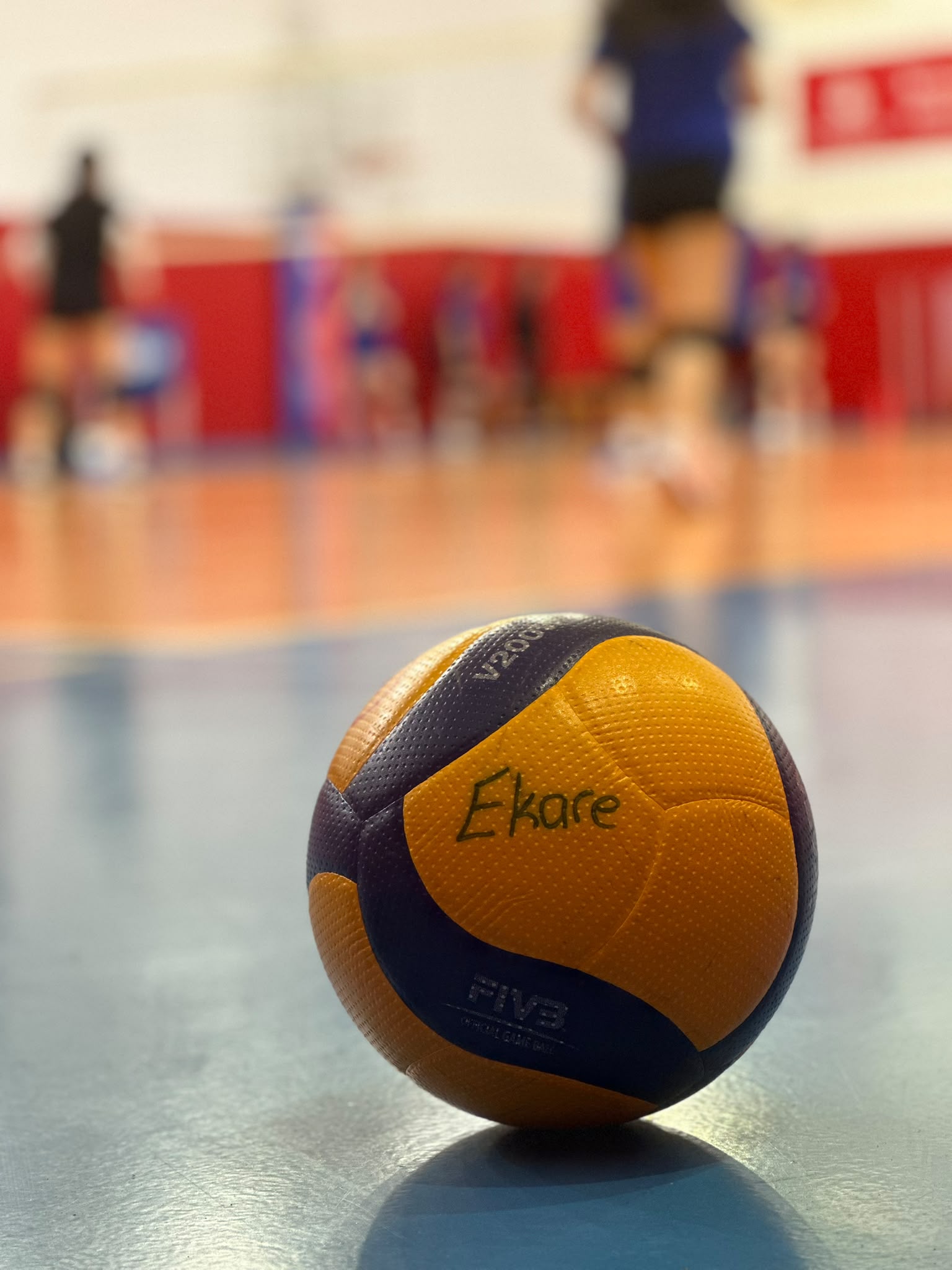 Voleyboldan bir kare